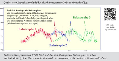 DreifachrufVollformat
