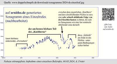 Einzelruf Vollformat